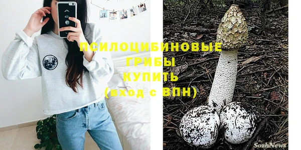 молекула духа Бронницы