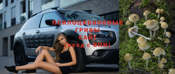 альфа пвп Бородино