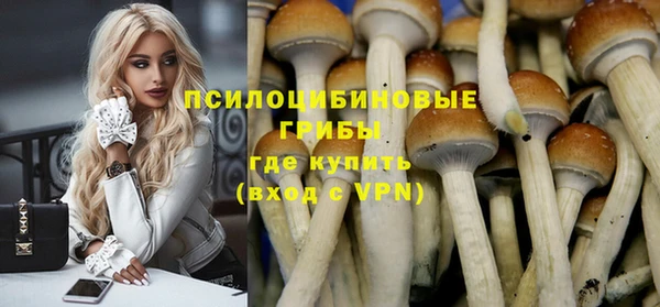 a pvp Козельск